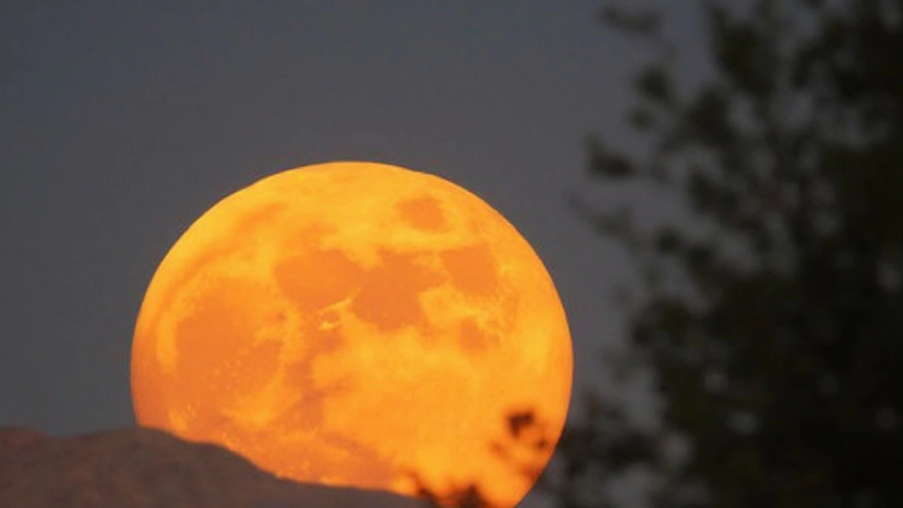 Buck Moon 2025: When and How Californians Can See July’s Full Moon